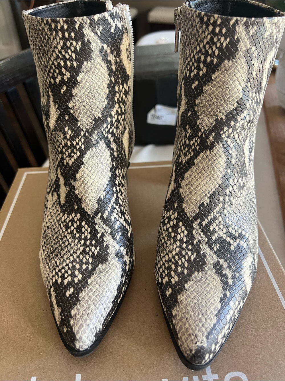 Madden Girl Snake-Print Pointed Ankle Boots - Black & Cream